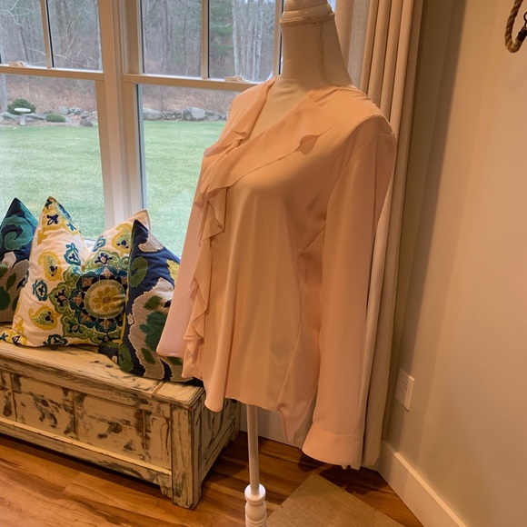 Banana Republic Ruffle Front Blouse - Picture 3 of 4